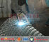 310S Hexmesh for  Refractory Lining | specification 2.0x19x50mm,  size 960x2000mm supplier