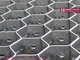 AISI304 Hexmesh Refractory Lining | 2.0X25 strips | hexagonal hole 2&quot; | lance prongs | HESLY, China Factory Sales supplier