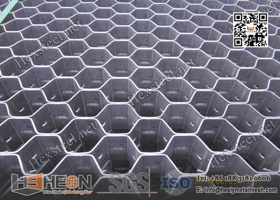 China 310S Hexsteel Grid | 60mm depth X 14gauge | 914X1050mm | Hexsteel with lances supplier