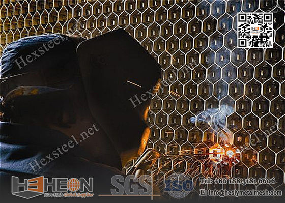 China 1Cr18Ni9Ti Hexmetal Refractory Lining | 1&quot; depth X 14gauge | China ISO Certificated Hex metal Supplier supplier