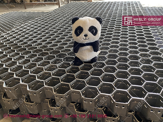China Lance Tabs Hexsteel, 310S stainless steel, Hexagonal Hole 60mm, 15mm thickness, 1mX1m, China Hesly Brand supplier
