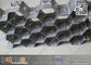 AISI304 30X2.0X50mm Stainless Steel Hexmesh With Laces | China Exporter supplier