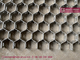 HESLY Hexagonal Mesh 410S Stainless Steel, 10mm strips, 50mm hexagonal hole, Anti-abrasive supplier