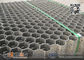 AISI316 Hex Metal with lance | 60mm Depth X2.mmTHK | China Stainless Steel Hexmetal Factory supplier