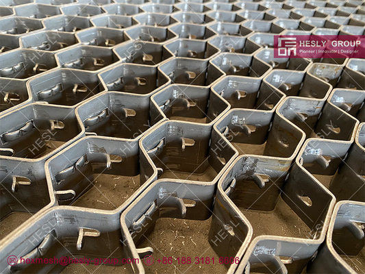 410S Hex steel mesh | 30mm depth | 2inch hexgonal hole | lances type | 3ft by 6ft sheet | Hesly China factory sales supplier