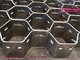 ss316 Hex Metal supplied in Anping | special size can be ordered | normal specification 14Gx3/4”x2&quot; supplier